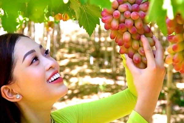 Ninh Thuận - Trải nghiệm khác biệt - Anh 4