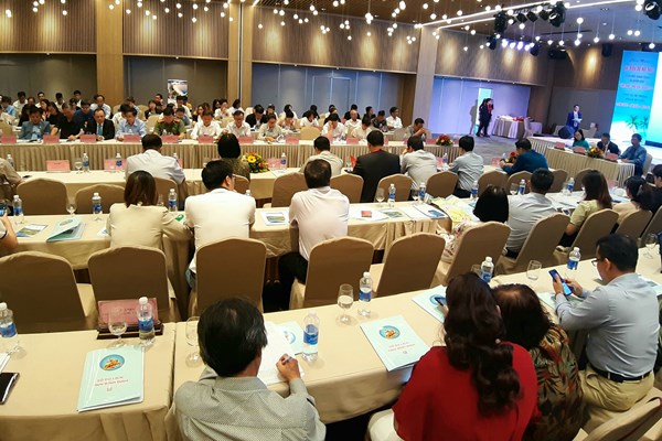 Một hành trình ba điểm đến Bình Định - Phú Yên - Khánh Hòa - Anh 2