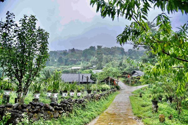 Lên với Sin Suối Hồ - Anh 1