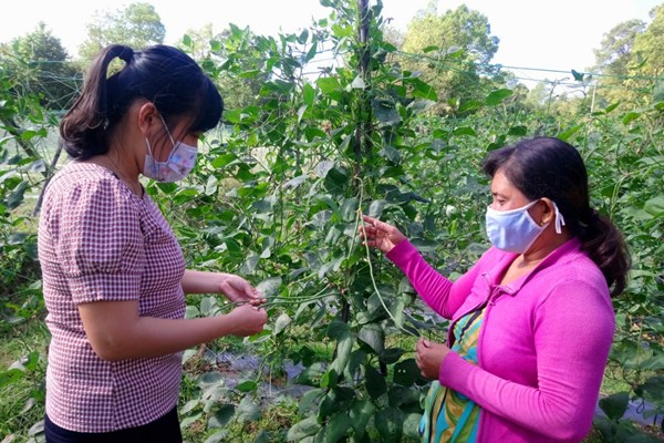 Vươn lên trong cuộc sống - Anh 2