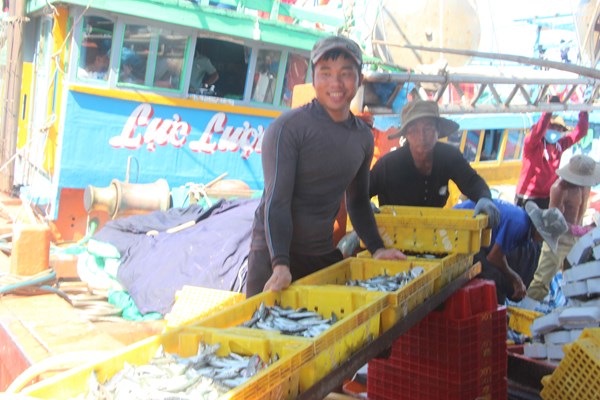 Ngư dân Quảng Ngãi phấn khởi chở “lộc biển” về đất liền - Anh 6