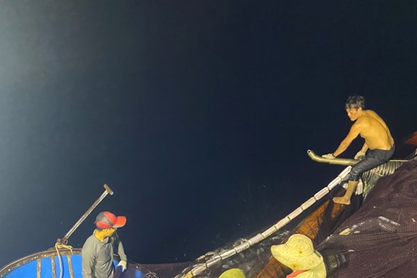 Ngư dân Quảng Ngãi phấn khởi chở “lộc biển” về đất liền - Anh 1