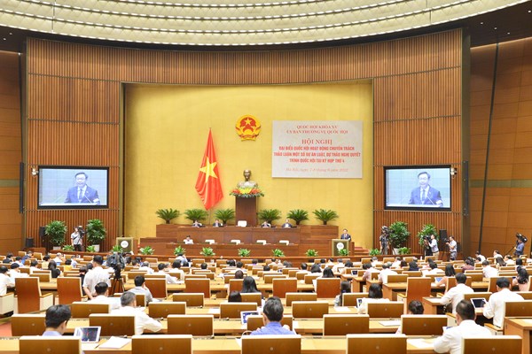 Hội nghị Đại biểu Quốc hội hoạt động chuyên trách: Thảo luận và cho ý kiến dự án Luật Phòng, chống bạo lực gia đình - Anh 2