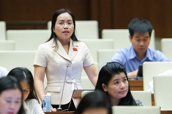 Nhiều đại biểu đóng góp ý kiến cho Dự án Luật Phòng, chống bạo lực gia đình (sửa đổi) - Anh 3