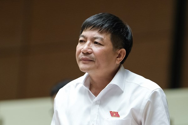 Nhiều đại biểu đóng góp ý kiến cho Dự án Luật Phòng, chống bạo lực gia đình (sửa đổi) - Anh 4