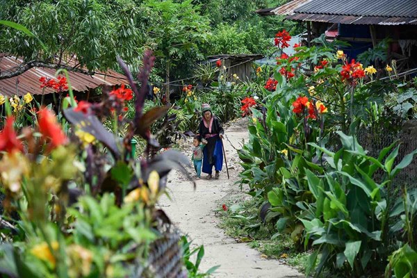 Bản vùng cao Giàng Ly Cha: Bà con không còn tin lời kẻ xấu - Anh 1