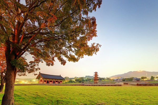 Vẻ đẹp hút hồn trong trưng bày 