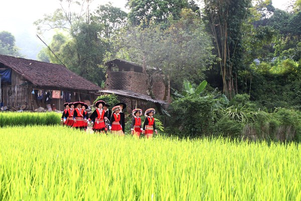 “Văn hóa còn thì dân tộc còn” (Bài 2):​​​​​​​ Vì yêu nên tận sức cống hiến - Anh 6