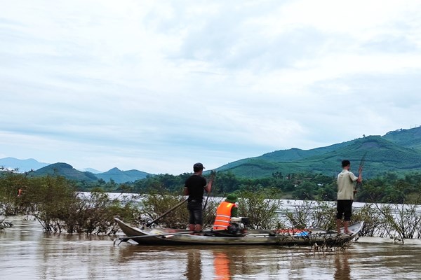 Bé trai 12 tuổi đi chăn trâu nghi bị nước lũ cuốn trôi - Anh 2