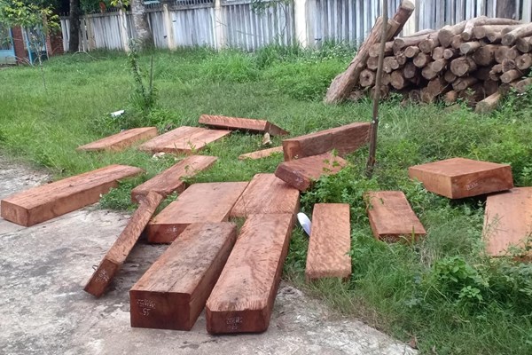 Quảng Ngãi: Bắt quả tang hai người vận chuyển gỗ trái phép lúc nửa đêm - Anh 2