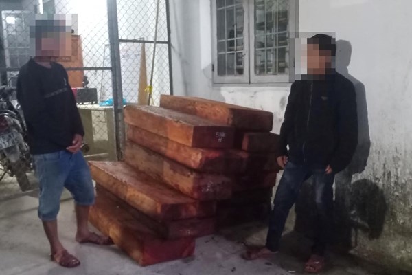 Quảng Ngãi: Bắt quả tang hai người vận chuyển gỗ trái phép lúc nửa đêm - Anh 1