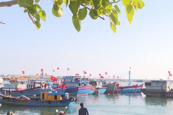 Quảng Ngãi kiểm soát chặt hoạt động tàu, thuyền ứng phó với bão Nuro - Anh 1