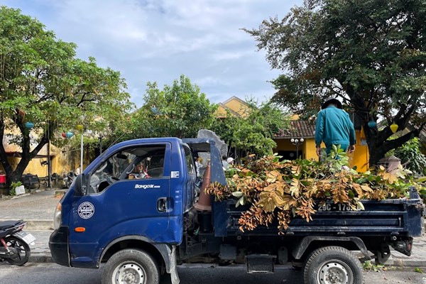 Quảng Nam: Khẩn trương lên phương án ứng phó với cơn bão Noru - Anh 5