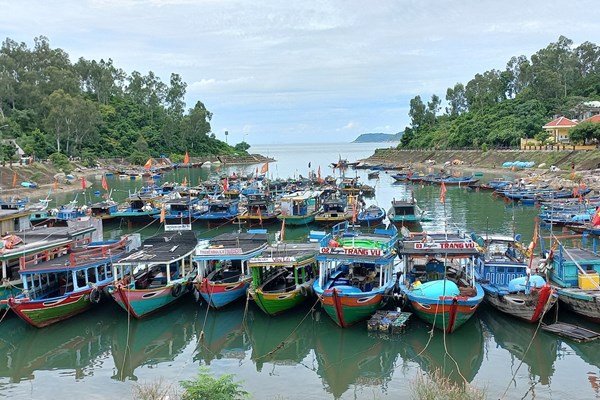 Quảng Nam: Khẩn trương lên phương án ứng phó với cơn bão Noru - Anh 6