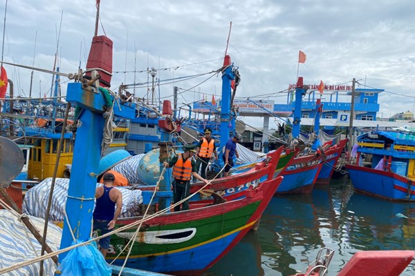Quảng Ngãi tập trung ứng phó siêu bão Noru - Anh 1