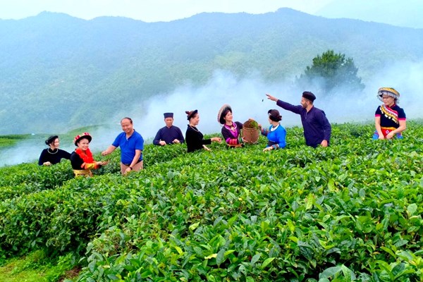 “Văn hóa còn thì dân tộc còn” (Bài 4): Khát vọng nở hoa trên đá - Anh 3