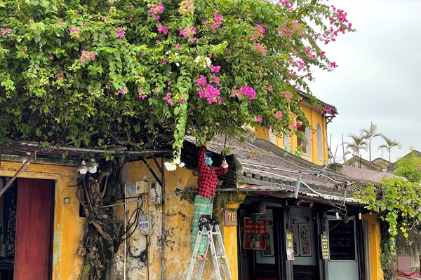 Miền Trung khẩn trương giằng chống, bảo vệ di tích trước bão số 4 - Anh 4