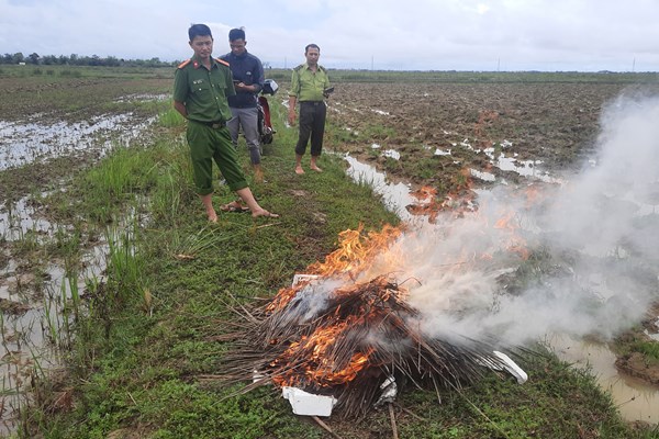 Quảng Bình ngăn chặn tình trạng săn, bắt chim trời mùa di cư - Anh 1