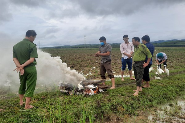 Quảng Bình ngăn chặn tình trạng săn, bắt chim trời mùa di cư - Anh 2