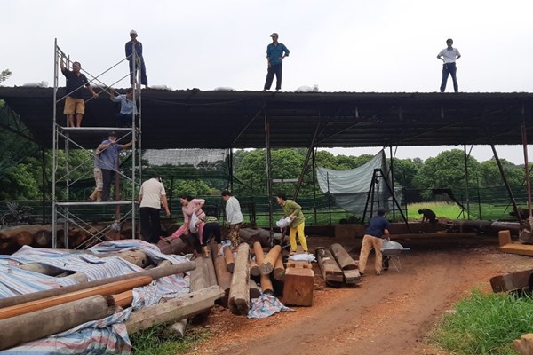 Bảo vệ di sản văn hóa trước bão số 4 - Anh 3