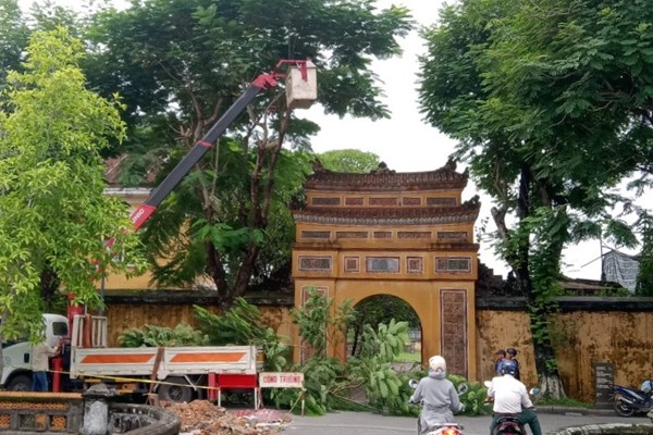 Bảo vệ di sản văn hóa trước bão số 4 - Anh 4