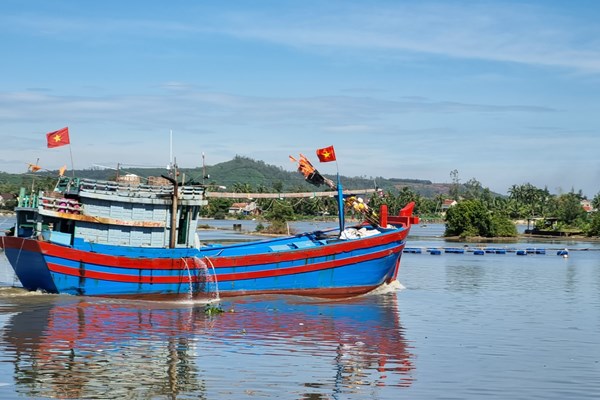 Sau bão, ngư dân Quảng Ngãi vươn khơi bám biển - Anh 7