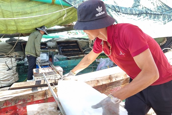 Sau bão, ngư dân Quảng Ngãi vươn khơi bám biển - Anh 1