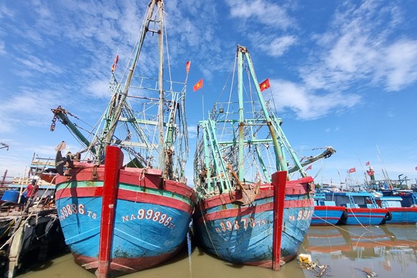 Sau bão, ngư dân Quảng Ngãi vươn khơi bám biển - Anh 2