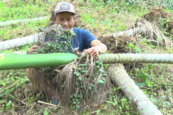 Người dân ở 