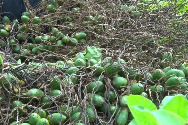 Người dân ở 