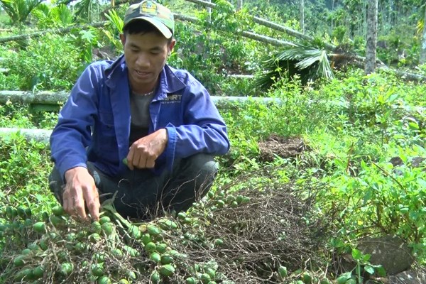 Người dân ở 