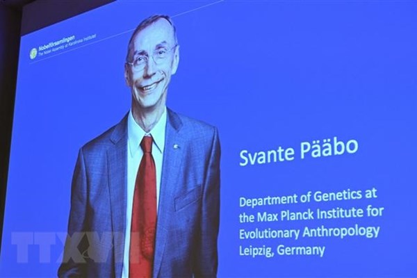 Nobel Y sinh tôn vinh phát hiện về quá trình tiến hóa của loài người - Anh 1