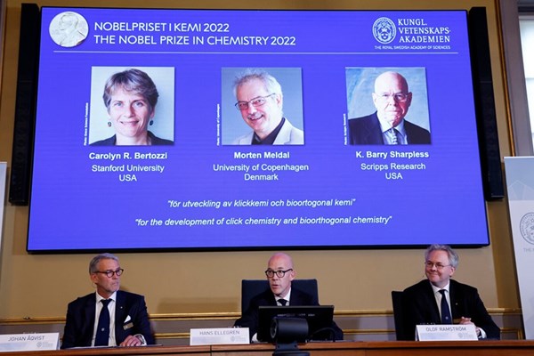 Giải Nobel Hóa học tôn vinh nghiên cứu trong phát triển liên kết - Anh 1