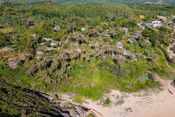 Làng Gò Cỏ phát huy giá trị di sản văn hóa Sa Huỳnh để phát triển du lịch - Anh 1