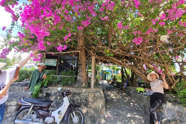 Làng Gò Cỏ phát huy giá trị di sản văn hóa Sa Huỳnh để phát triển du lịch - Anh 3