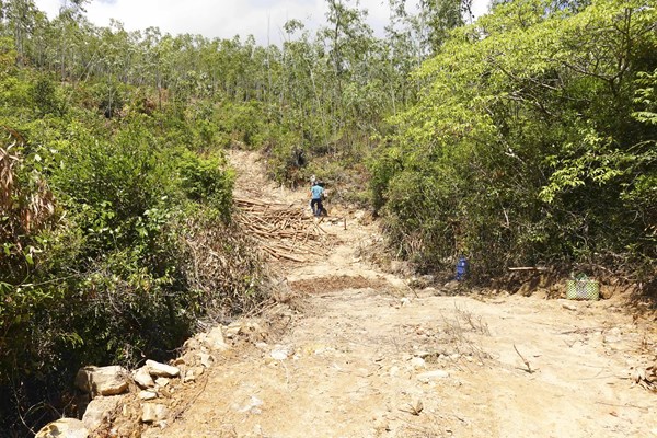 Hồi âm về bài “Danh thắng quốc gia Ghềnh Ráng (Quy Nhơn - Bình Định) bị xâm phạm trên Văn Hóa: Đề nghị thu hồi đất để bảo vệ di tích - Anh 1