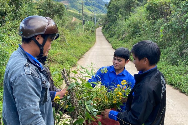 Vì một cộng đồng không có những cái chết từ… lá ngón - Anh 1