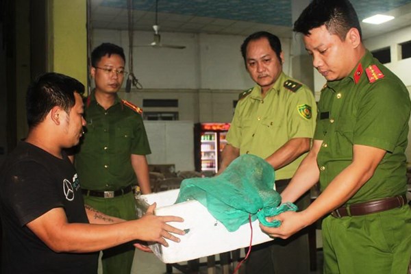 Lái xe tự nguyện giao nộp 12 cá thể kỳ đà hoa quý hiếm - Anh 1