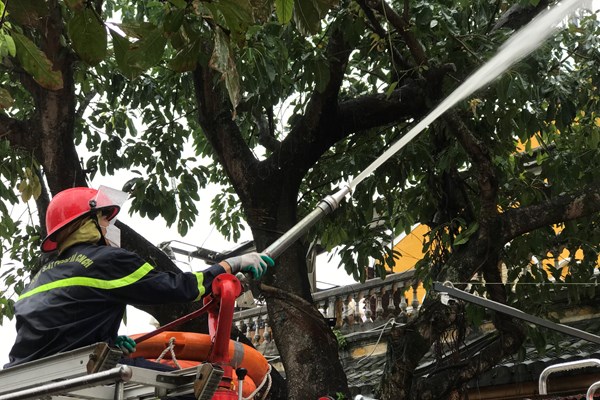 Thực tập phương án chữa cháy và cứu nạn, cứu hộ tại Khu dân cư chợ Hội An - Anh 5