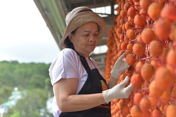 Mùa hồng Đà Lạt hút khách du lịch - Anh 2