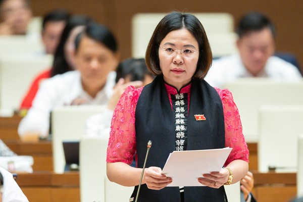 Đại biểu Quốc hội đề nghị tăng mức đầu tư cho văn hoá - Anh 2