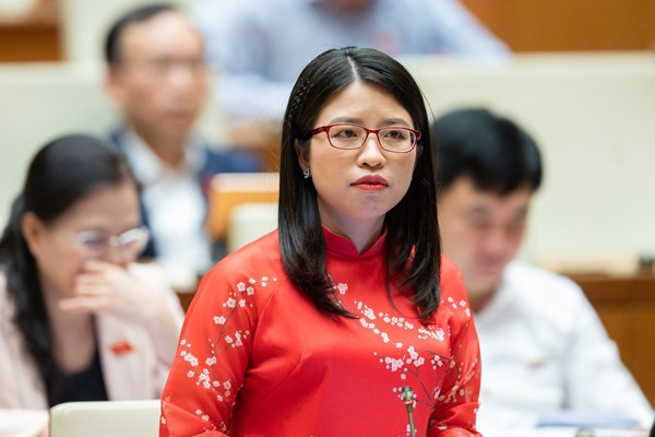 Đại biểu Quốc hội đề nghị tăng mức đầu tư cho văn hoá - Anh 3