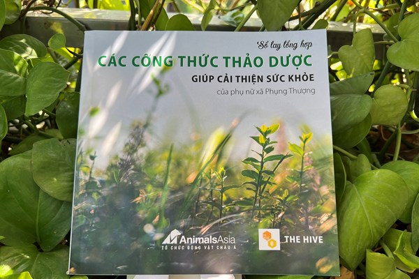 Hà Nội: Vẽ tranh, ra mắt sách để truyền thông về bảo vệ loài gấu - Anh 1