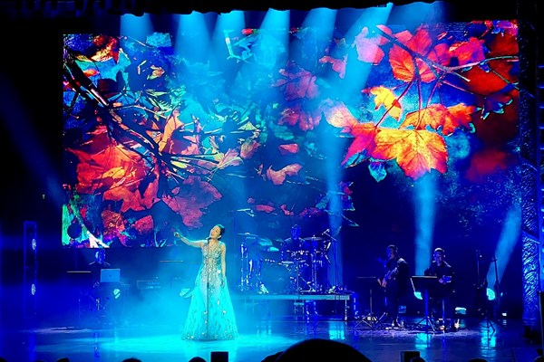 Kể câu chuyện tình bạn keo sơn của Việt Nam và Đan Mạch bằng âm nhạc - Anh 5