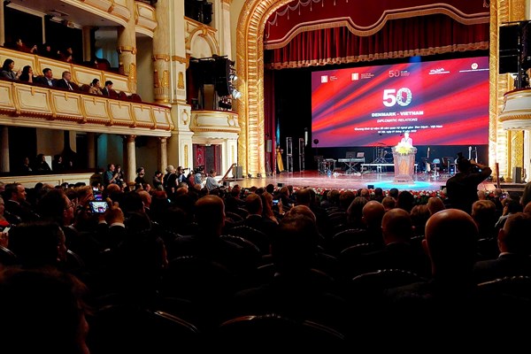 Kể câu chuyện tình bạn keo sơn của Việt Nam và Đan Mạch bằng âm nhạc - Anh 3