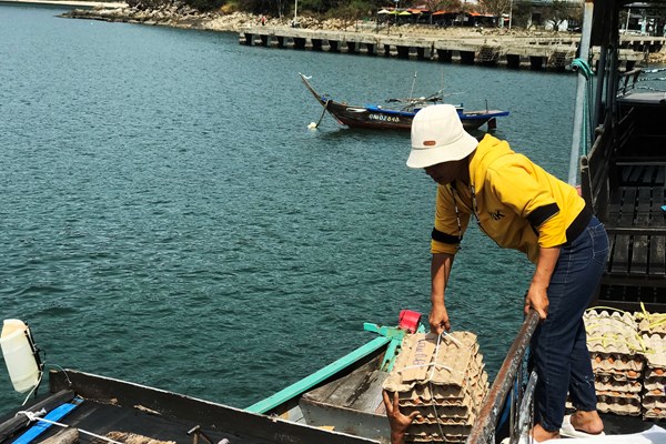 Xứ đảo tích trữ hàng hóa trước mùa mưa bão - Anh 2