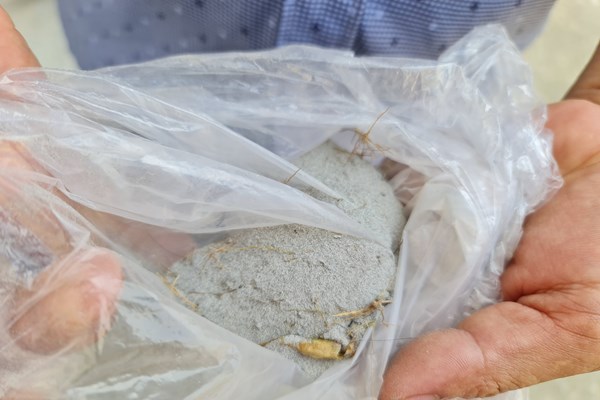 Quảng Ngãi: Kiểm tra, làm rõ việc xuất hiện bụi “lạ” kèm mùi khét phát tán ở khu dân cư - Anh 2