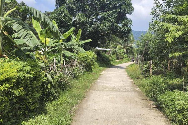 Đồng bào Bana làng Gia Trung thực hiện lối sống xanh - Anh 1