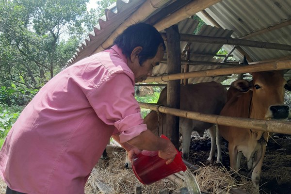 Đồng bào Bana làng Gia Trung thực hiện lối sống xanh - Anh 3