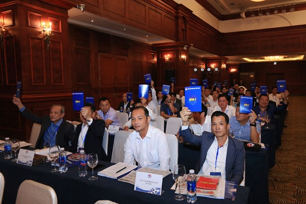 VFF đặt mục tiêu bóng đá Việt Nam dự World Cup 2030 - Anh 2